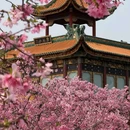 宝墨园景区 - 广州市旅游 缩略图 2