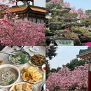 宝墨园景区 - 广州市旅游 缩略图 1
