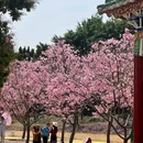 宝墨园景区 - 广州市旅游 缩略图 5