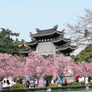 宝墨园景区 - 广州市旅游 缩略图 8