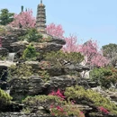 宝墨园景区 - 广州市旅游 缩略图 7
