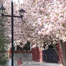 周恩来邓颖超纪念馆 - 天津市旅游 缩略图 4