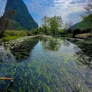海菜花湿地公园 - 桂林市旅游 缩略图 8