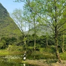 海菜花湿地公园 - 桂林市旅游 缩略图 9