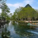 海菜花湿地公园 - 桂林市旅游 缩略图 3
