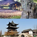 鲁迅故里景区 - 绍兴市旅游 缩略图 3
