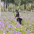 西苑公园 - 武汉旅游 缩略图 3