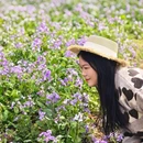西苑公园 - 武汉旅游 缩略图 9