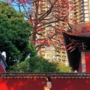 农讲所大院 - 广州市旅游 缩略图 5