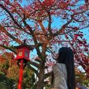农讲所大院 - 广州市旅游 缩略图 1