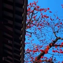 农讲所大院 - 广州市旅游 缩略图 4