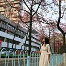 农讲所大院 - 广州市旅游 缩略图 9