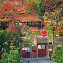 农讲所大院 - 广州市旅游 缩略图 8