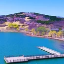 郑州牟山湿地公园-东南园 - 郑州市旅游 缩略图 4