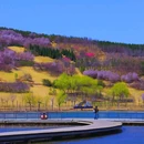 郑州牟山湿地公园-东南园 - 郑州市旅游 缩略图 1