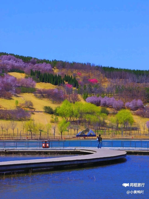 郑州牟山湿地公园-东南园 - 郑州市旅游