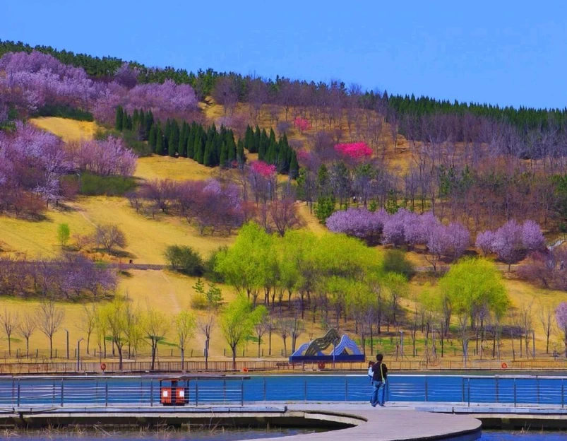 郑州牟山湿地公园-东南园 - 郑州市旅游 1