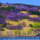 郑州牟山湿地公园-东南园 - 郑州市旅游 缩略图 5