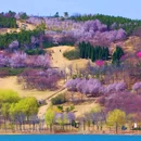 郑州牟山湿地公园-东南园 - 郑州市旅游 缩略图 3