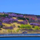 郑州牟山湿地公园-东南园 - 郑州市旅游 缩略图 2
