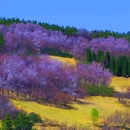 郑州牟山湿地公园-东南园 - 郑州市旅游 缩略图 7