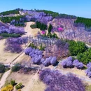 郑州牟山湿地公园-东南园 - 郑州市旅游 缩略图 9