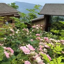 四川博物院 - 成都市旅游 缩略图 4