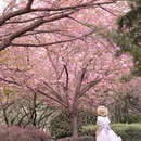 西安高新永阳公园 - 西安市旅游 缩略图 6