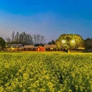 乌镇西栅景区-2号入口 - 嘉兴市旅游 缩略图 5