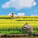 乌镇西栅景区-2号入口 - 嘉兴市旅游 缩略图 6