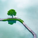 鉴湖风景区 - 绍兴市旅游 缩略图 1