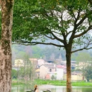 信昌·桂海晴岚景区 - 桂林市旅游 缩略图 4