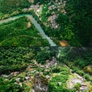 安顺紫云格凸河风景区 - 安顺市旅游 缩略图 8