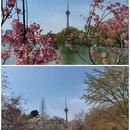 玉渊潭公园 - 北京市旅游 缩略图 3