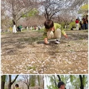 玉渊潭公园 - 北京市旅游 缩略图 7