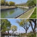 玉渊潭公园 - 北京市旅游 缩略图 6