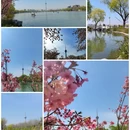 玉渊潭公园 - 北京市旅游 缩略图 2
