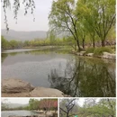 国家植物园 - 北京市旅游 缩略图 4