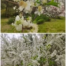 国家植物园 - 北京市旅游 缩略图 9