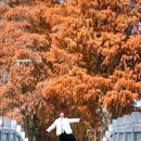 听涛景区 - 武汉旅游 缩略图 4