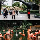 广州动物园 - 广州市旅游 缩略图 2