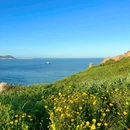 温州南麂岛 - 温州旅游 缩略图 8