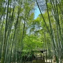 上海城隍庙 - 上海市旅游 缩略图 3