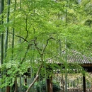 上海城隍庙 - 上海市旅游 缩略图 8
