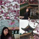 宝墨园景区 - 广州市旅游 缩略图 4
