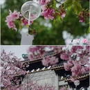宝墨园景区 - 广州市旅游 缩略图 3