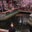 宝墨园景区 - 广州市旅游 缩略图 1