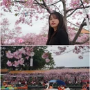 宝墨园景区 - 广州市旅游 缩略图 8