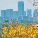 青秀山风铃谷 - 南宁市旅游 缩略图 3