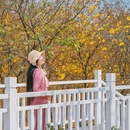 青秀山风铃谷 - 南宁市旅游 缩略图 4